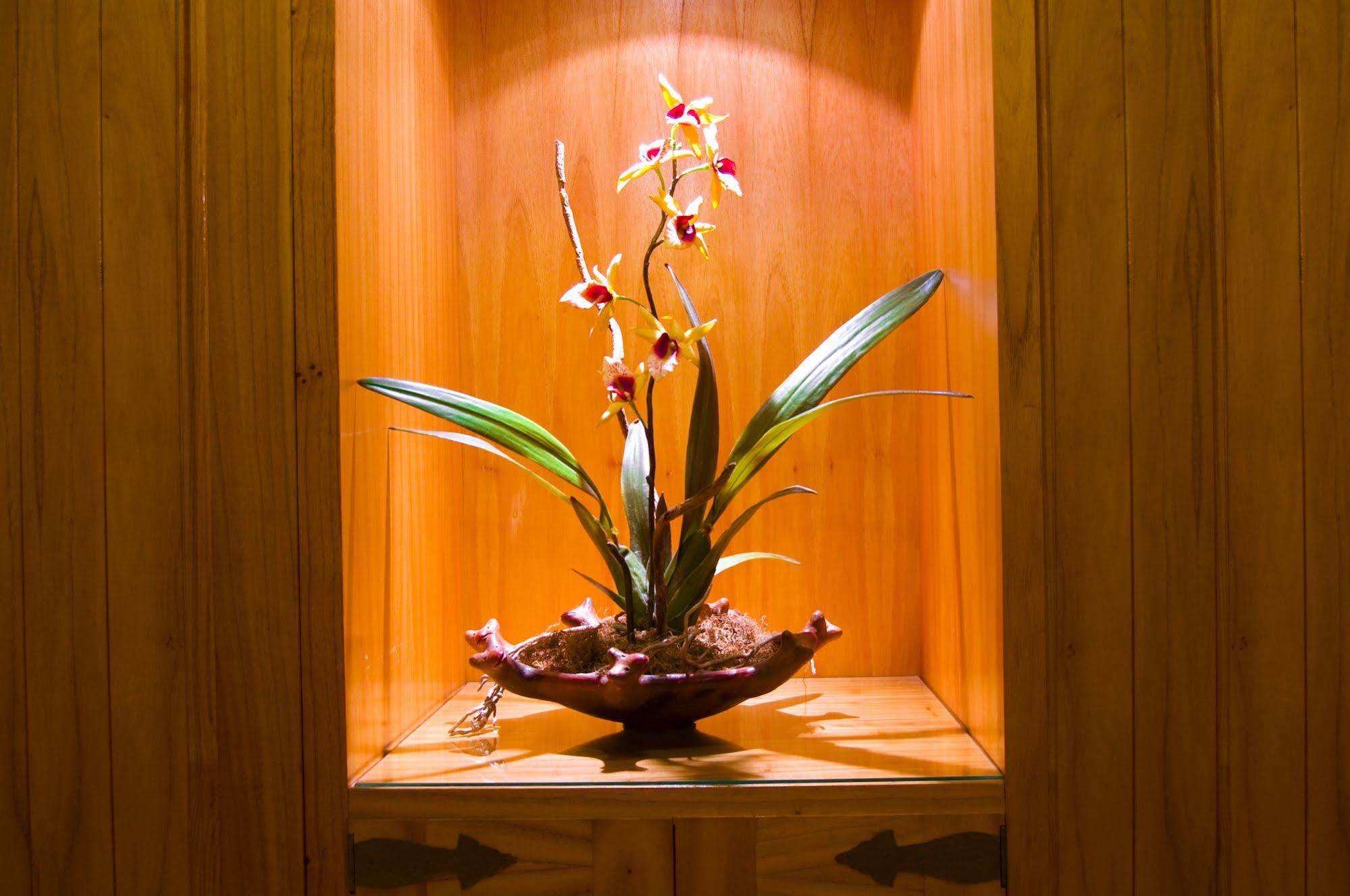 Hotel Las Margaritas 亚松森 外观 照片